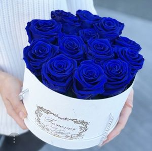 Meet your Posher, Cheyenne